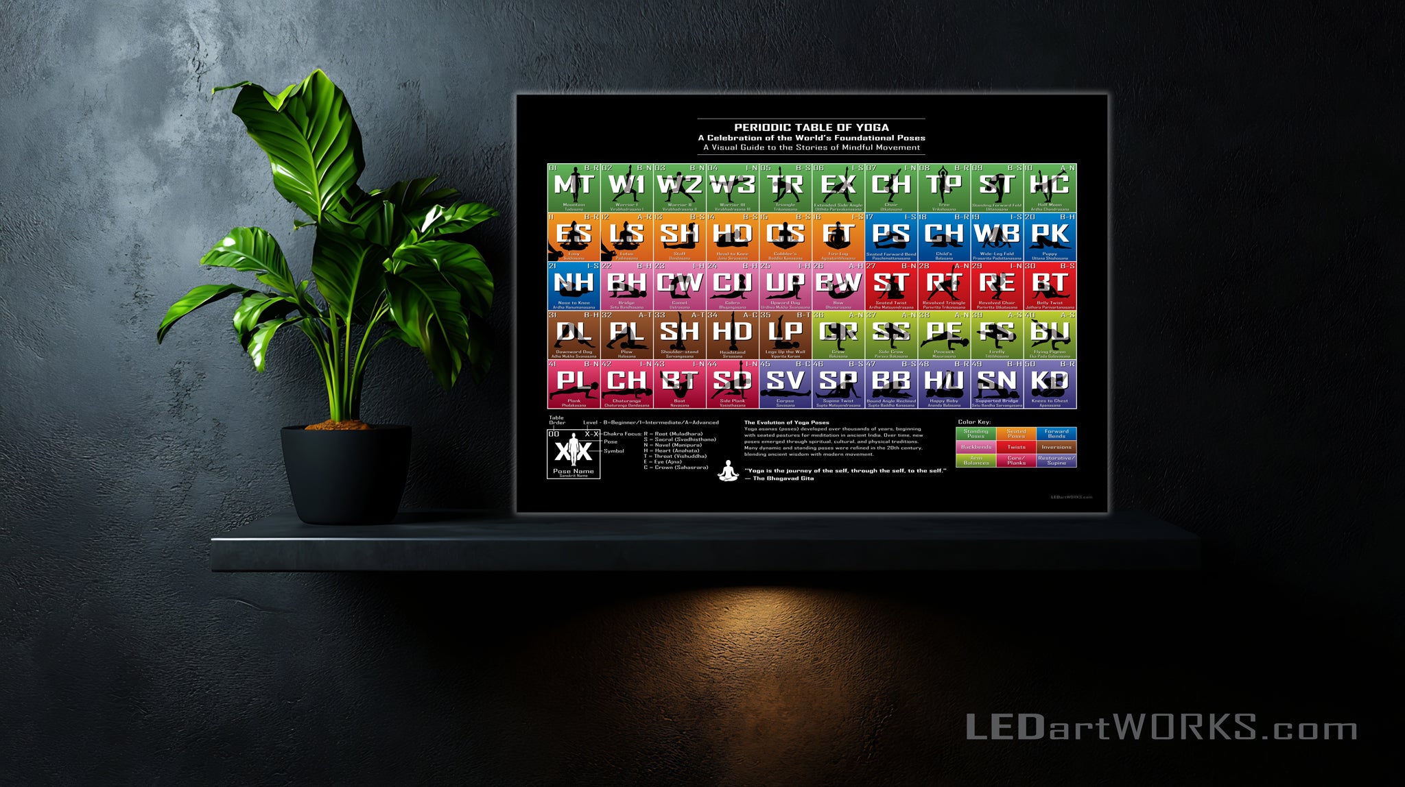 Periodic Table of Yoga - Illuminated Wall Art for Yogis and Mindful Movers