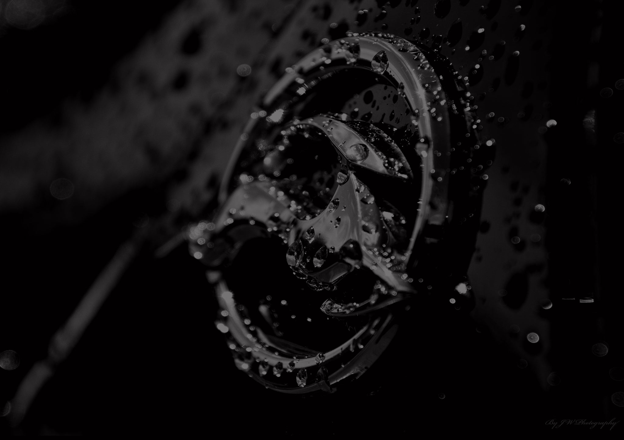 "After the Rain" by JW Photography